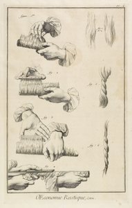 Kardning och kamning (Plåt II), 1762